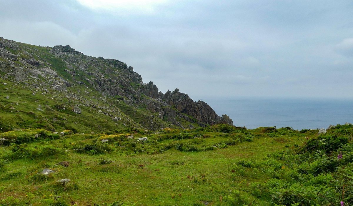Combe Gorse