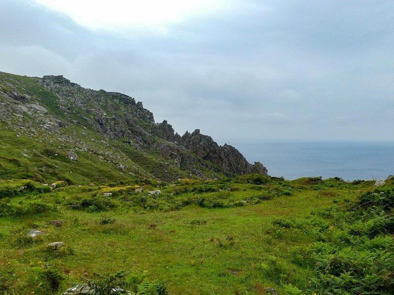 Combe Gorse
