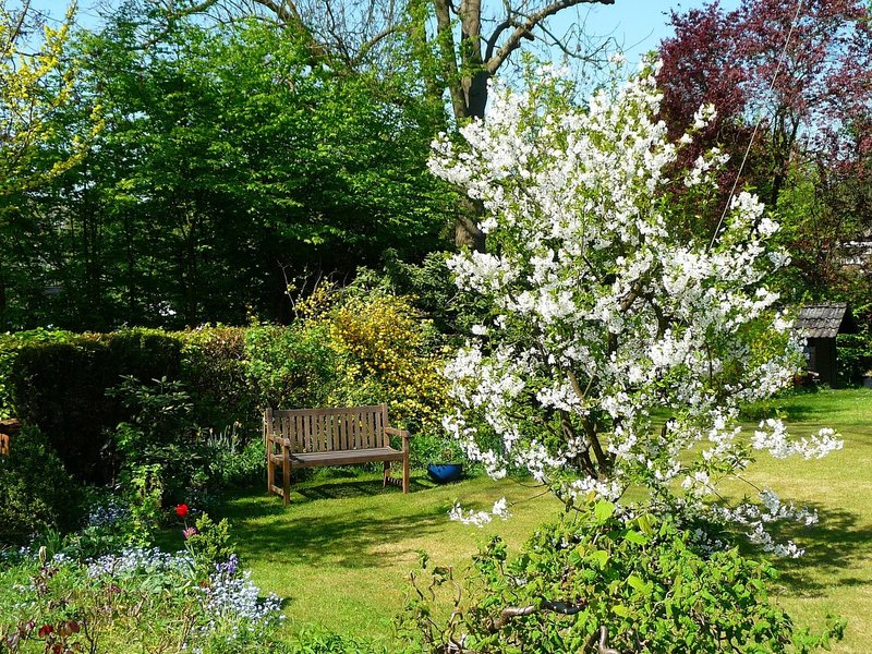 Combe Gorse